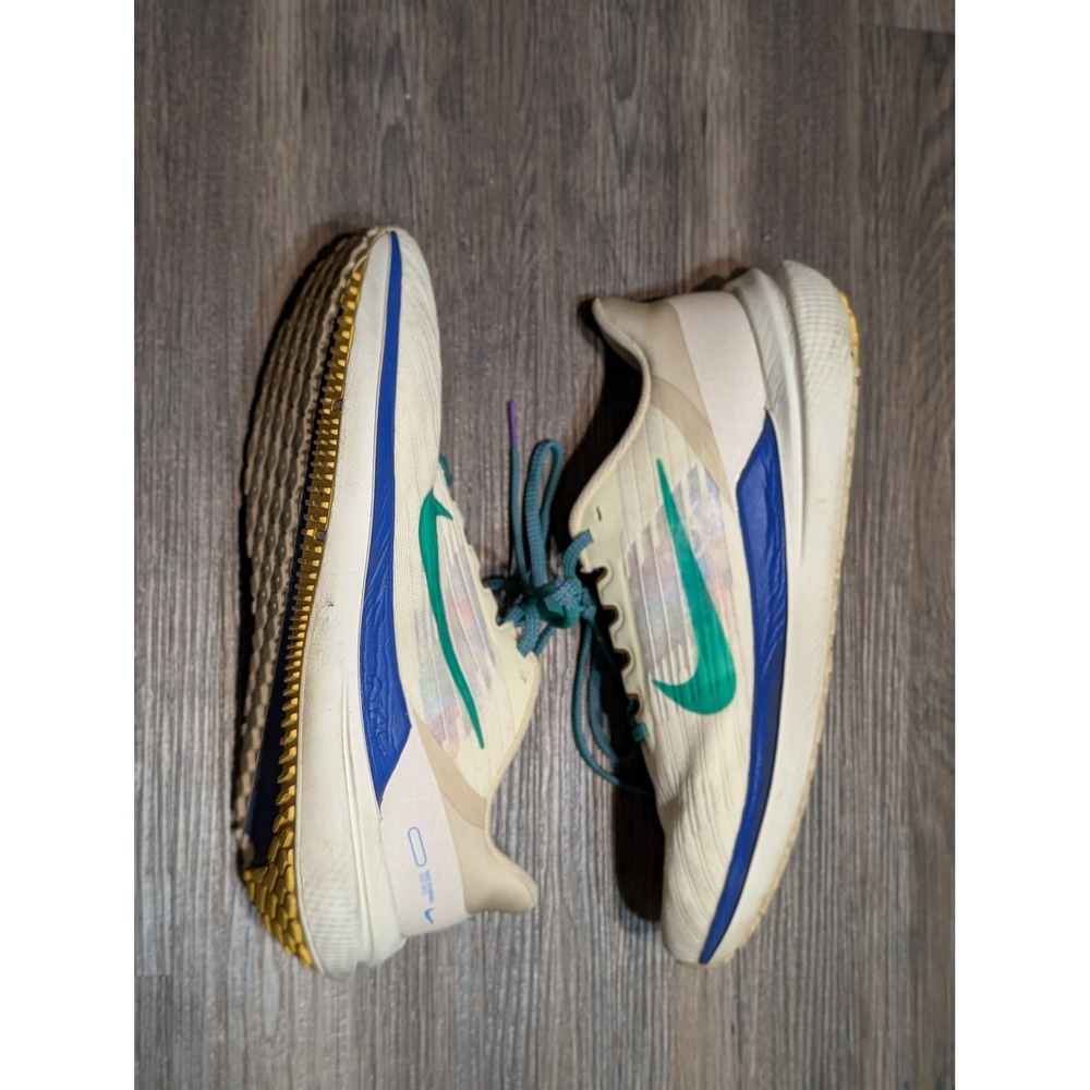 Nike Winflo 9 Premium Moving Co Mens‎ 8.5 Running Shoes Cream Green DV8997-007